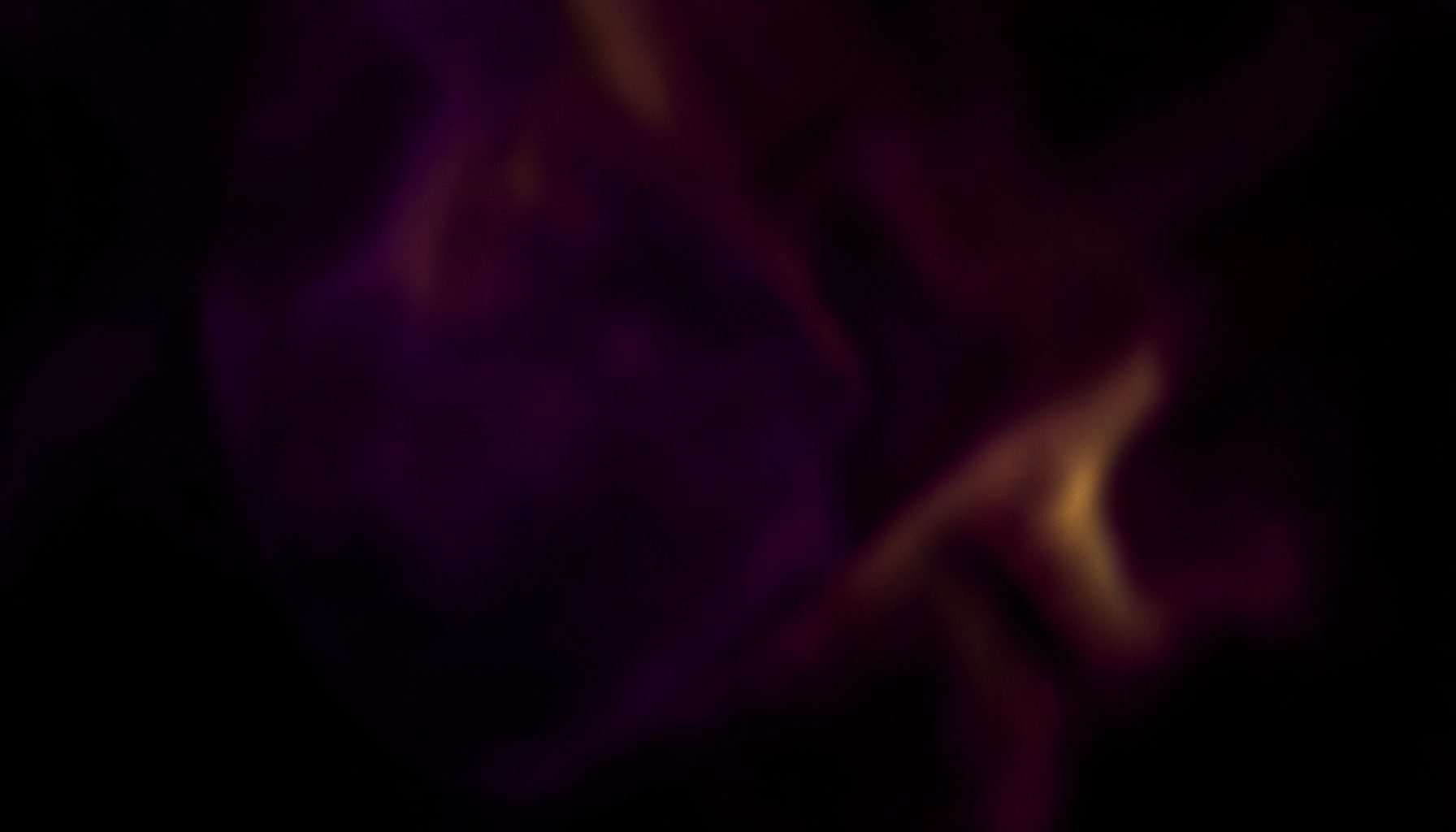 Rich purple and black tones with soft golden highlights, sensual and dramatic mood