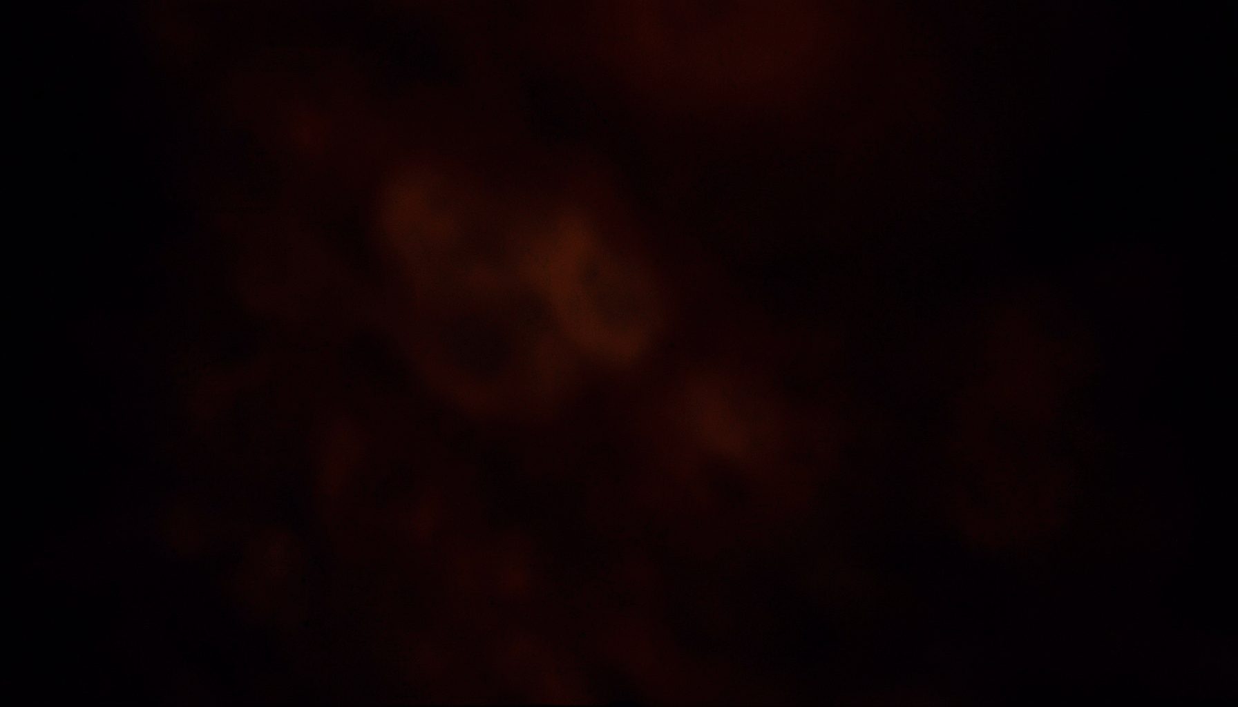 Warm amber and deep crimson tones on a dark background, moody and intimate atmosphere