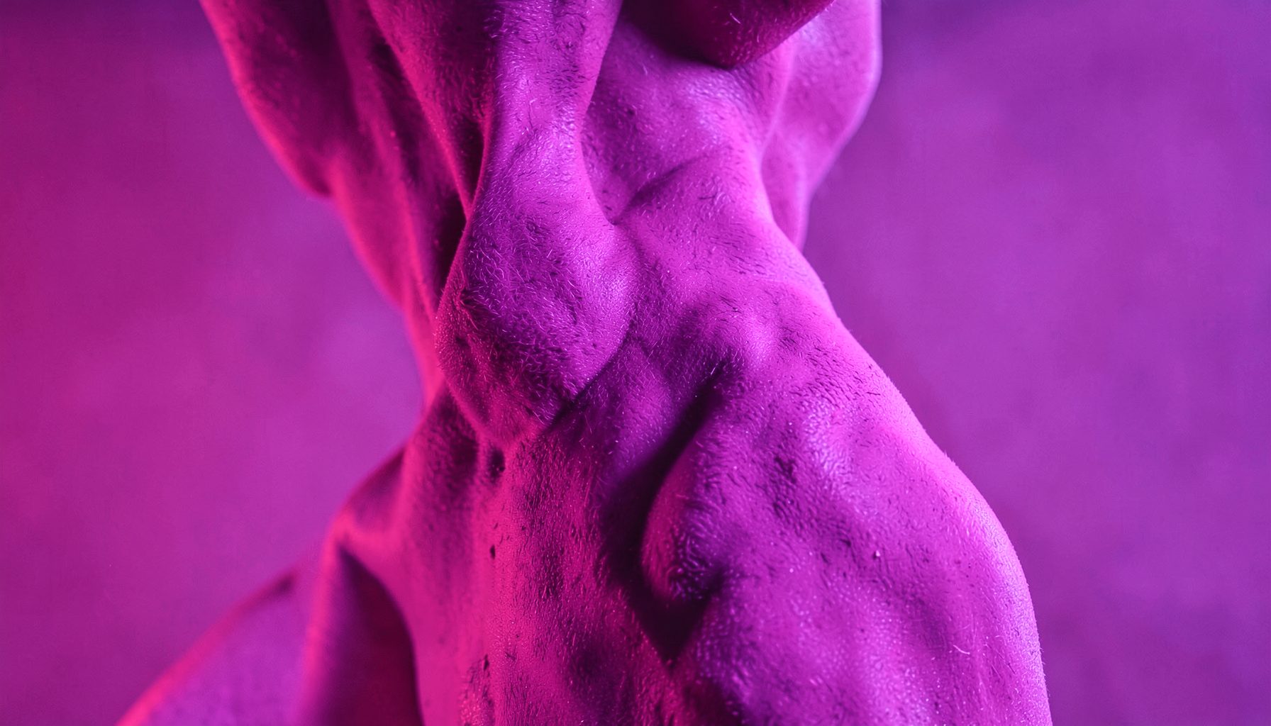 Synthetic textures and human form intertwined, surreal pink and purple lighting